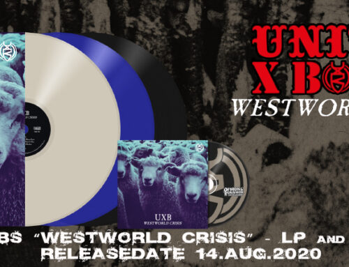 Aenean lobortis sapien enim viverra