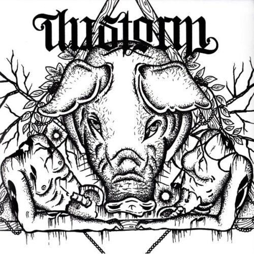 Storm, The - Same 7"