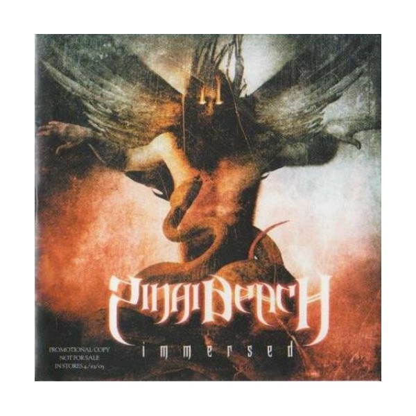 Sinai Beach - Immeresed