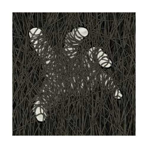 Accept The Change - Escapism