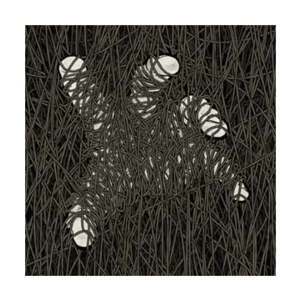 Accept The Change - Escapism