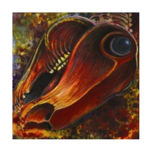 Behead The Lamb - Messiahlation CD