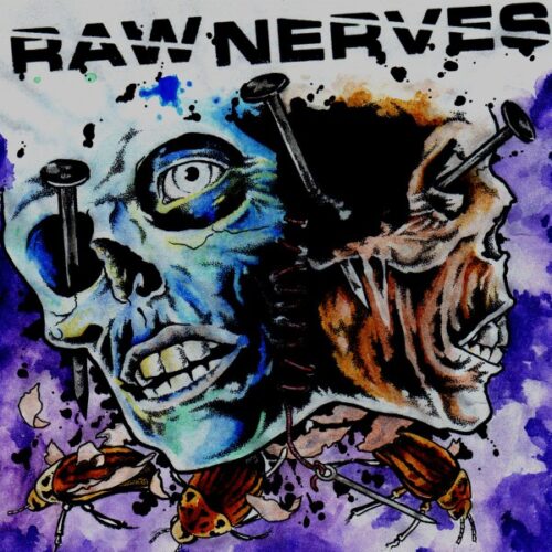 Raw Nerves - Same LP