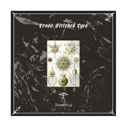 Cross Stitched Eyes - Decomposition LP