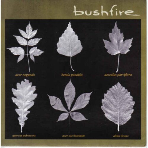 Bushfire - Same 7"