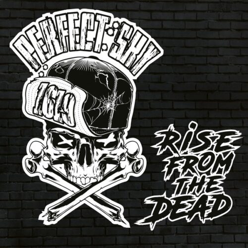 Perfect Sky - Rise From The Dead LP